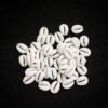 PLASTICBEADS0052 – ARNA’S 46 PCs PACK OF WHITE COWRY PLASTIC BEADS FOR JEWELLERY MAKING – 25 GRAMS PACK