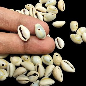 COWRIE0003- ARNA’S 100 GM SINGLE HOLE MUDY SMALL COWRIE SHELL FOR JEWELLERY MAKING – 150 PCS APPROX.