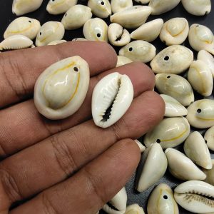 COWRIE0004- ARNA’S 50 GM SINGLE HOLE MUDY BIG COWRIE SHELL FOR JEWELLERY MAKING